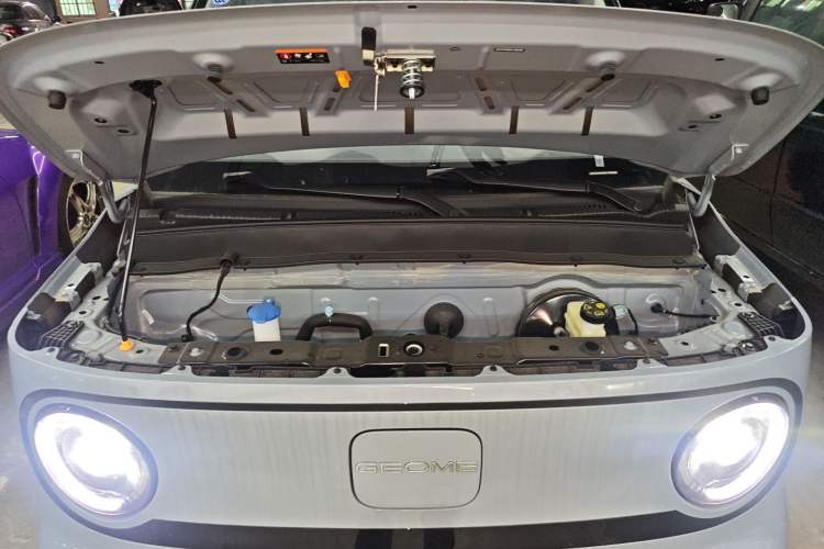 Used  Panda 2025 210km Panda Kart
