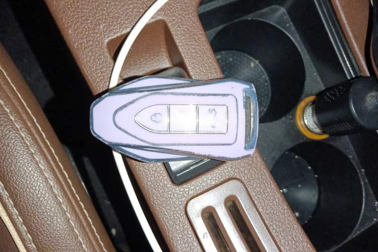 Used Leopaard CS10 2017 2.0T Automatic Urban Version