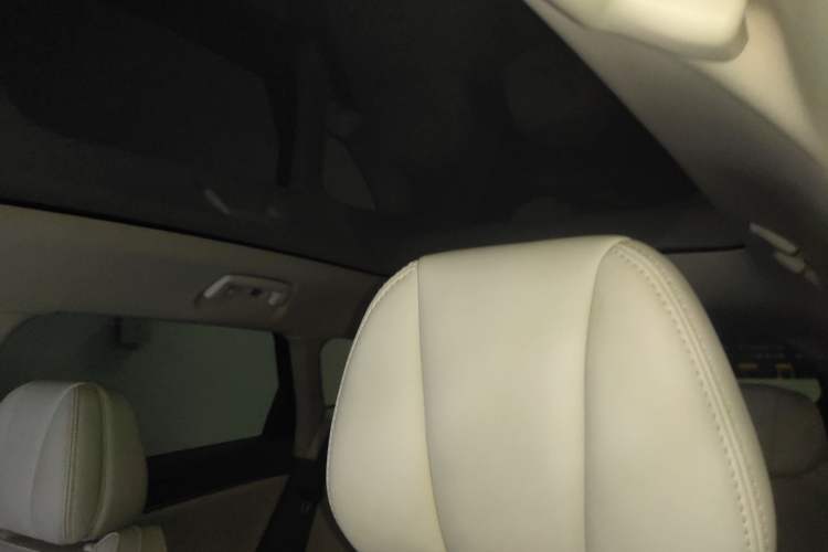 Used VOYAH FREE 2021 Four-Wheel Drive Standard Range-Extended Exclusive Luxury Package
