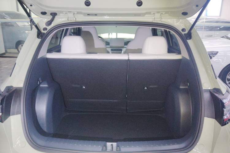 Used  Geome 2025 310km Youth Edition