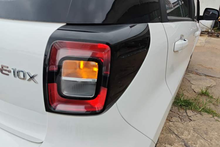 Used SOL E10X 2022 Flower Fairy Design Four-Leaf Clover