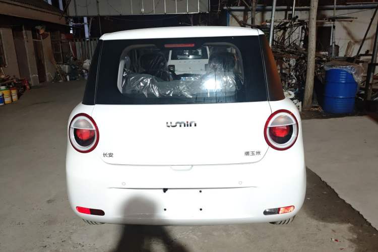 Used  Lumin 2025 205 km Xiangqin Version
