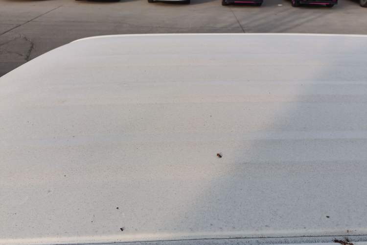 Used  Panda 2024 Panda Mini 200km Endurance Bear
