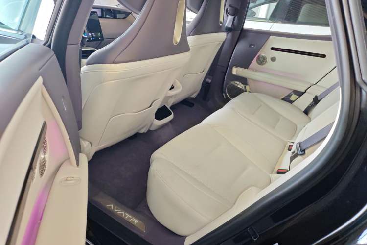 Used  06 2025 Pro Range-Extended Edition
