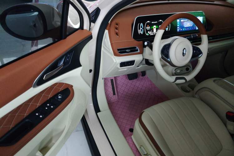 Used ORA Good Cat 2023 401 km Standard Range Luxury Version Lithium Iron Phosphate
