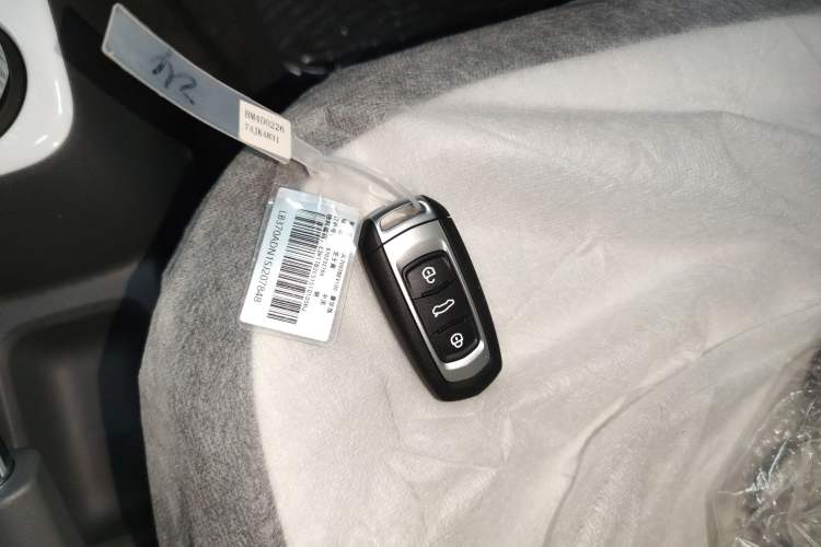 Used  Panda 2025 210 km – Yuanqi Bear
