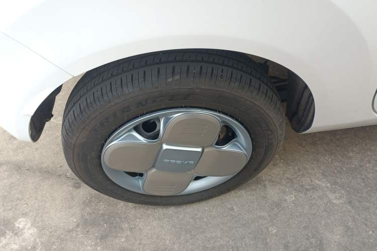 Used  Panda 2024 Panda Mini 200km Endurance Bear
