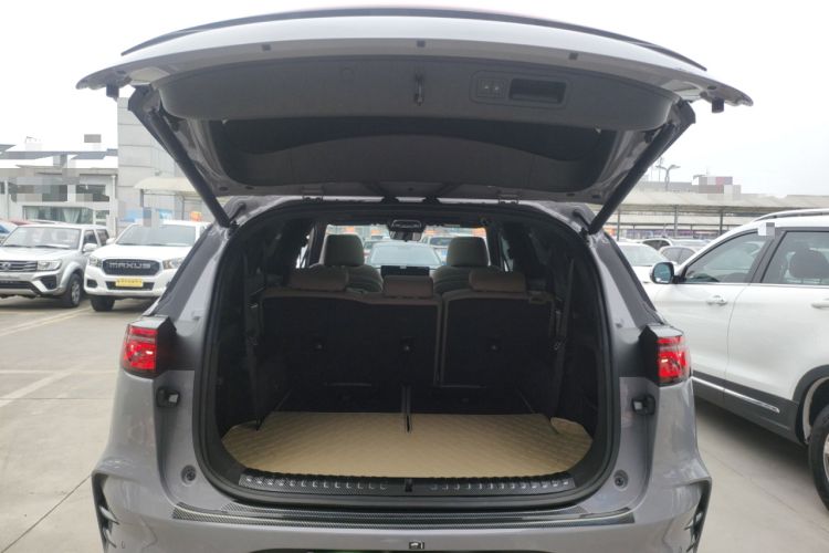 Used BYD Tang New Energy 2025 DM-i 115KM Prestige Model