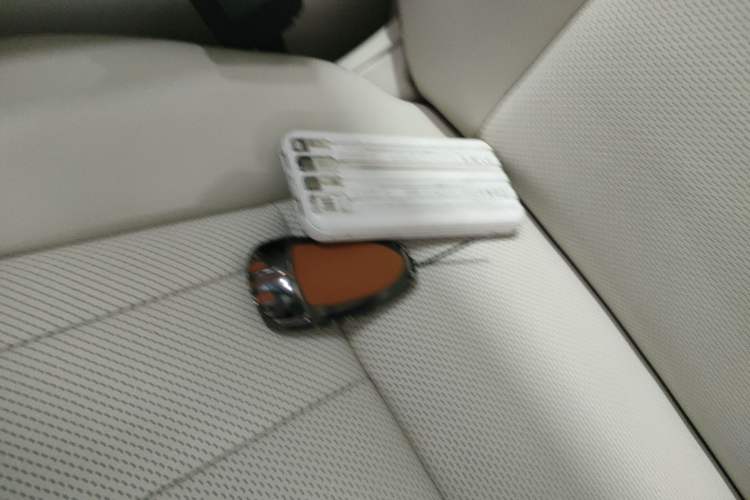 Used Wey Lanshan 2025 Four-Wheel Drive Max