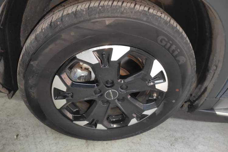 Used  Horizon 2023 550 km Enjoyment Edition