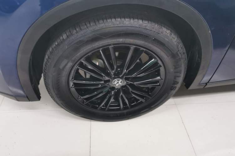 Used Venucia V 2023 260T Idol Edition Pro
