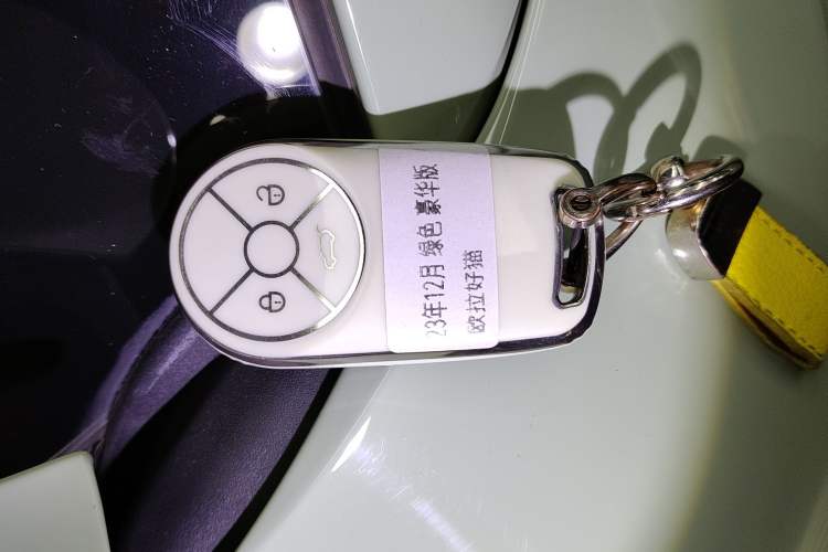 Used ORA Good Cat 2023 401 km Standard Range Luxury Version Lithium Iron Phosphate
