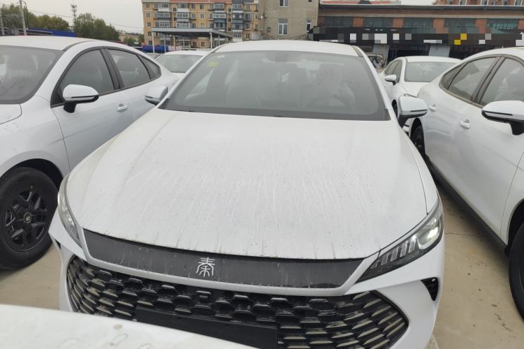 Used BYD Qin PLUS 2025 DM-i Smart Drive 55KM Leading Model
