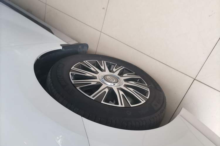 Used GAC Trumpchi E9 2023 E9 Master Model
