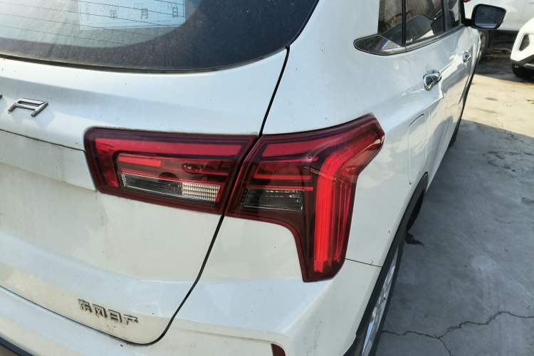 Used Venucia T60EV 2020 AI Enjoyment Model
