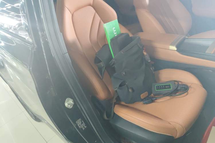 Used NETA X 2024 500 First Edition
