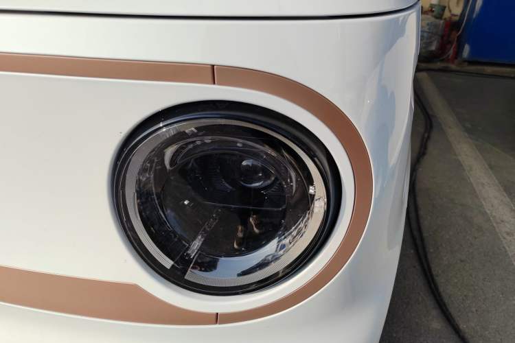 Used  Panda 2024 Panda Mini 200km Endurance Bear
