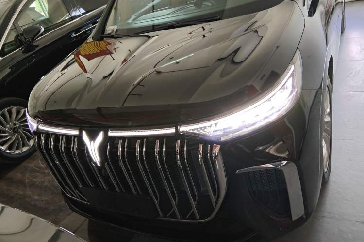 Used VOYAH Dream 2022 Low-Carbon Edition Plus Intelligent Driving Package
