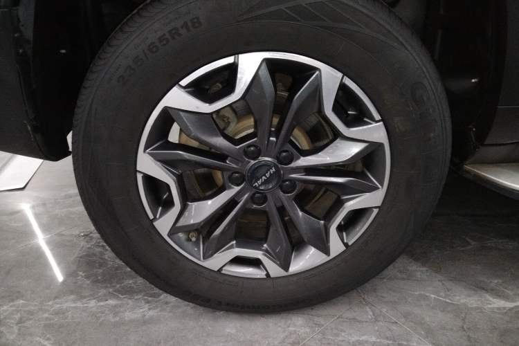 Used Haval DARGO 2021 2.0T DCT 4x4 Chinese Rural Dog Edition
