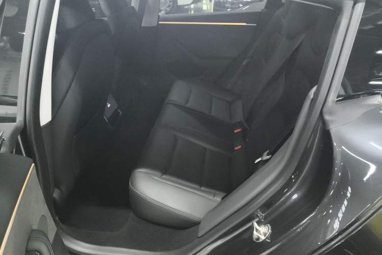 Used Tesla Model 3 2023 Long-Range All-Wheel-Drive Version
