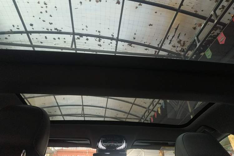 Used VOYAH PASSION 2024 PHEV Four-Wheel Drive Ultra-Long Range Flagship Model
