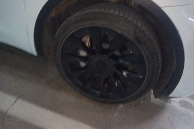 Used Tesla Model Y 2022 Rear-Wheel-Drive Version