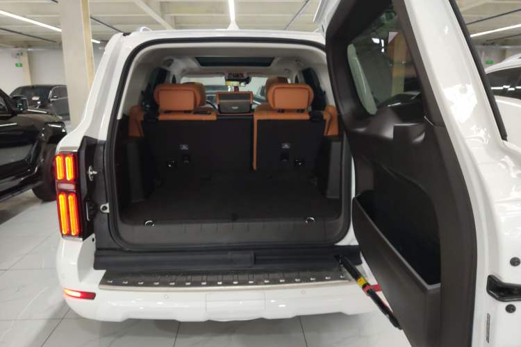 Used Tank 500 New Energy 2025 Hi4-Z