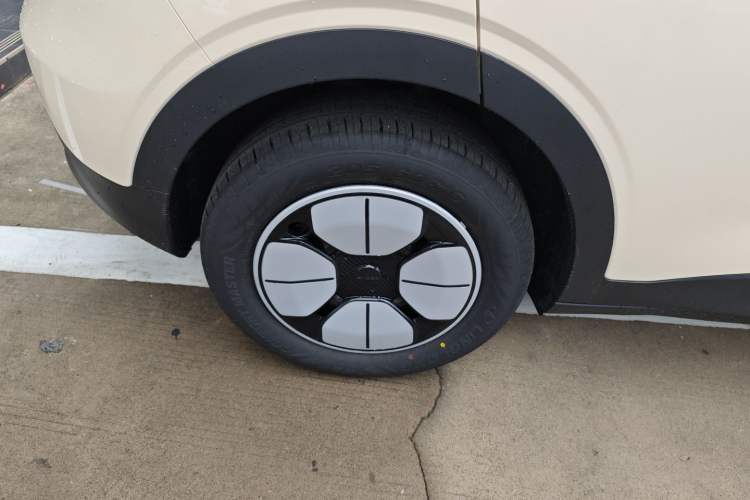 Used  Geome 2025 310km Youth Edition
