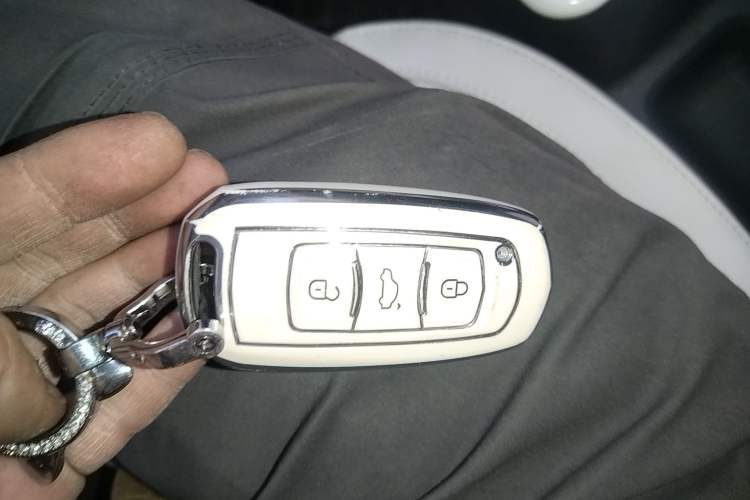 Used  Panda 2024 200km Panda Rider