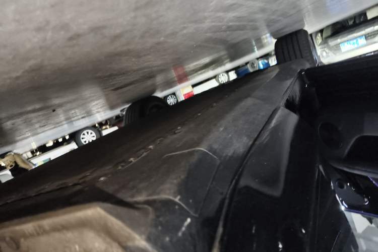 Used  07 2024 Pro Pure Electric Version
