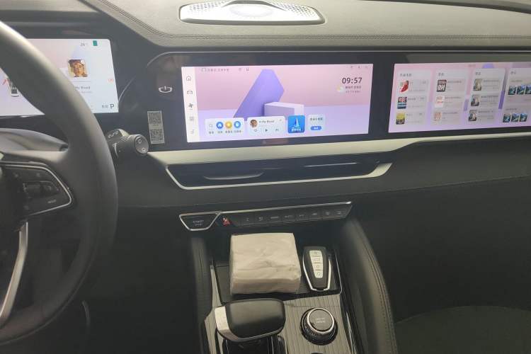 Used Geely Auto Monjaro L 2024 2.0TD High-Power Automatic Two-Wheel Drive Skyline Edition
