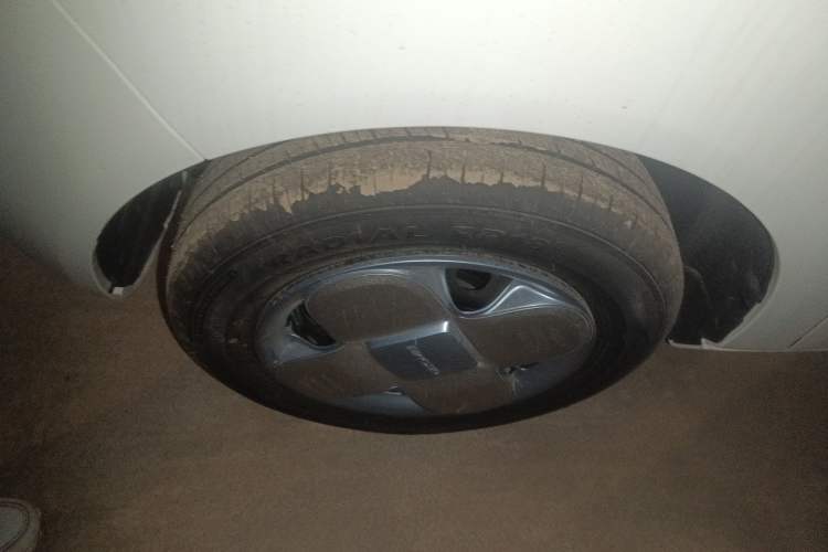 Used  Panda 2025 210 km – Yuanqi Bear
