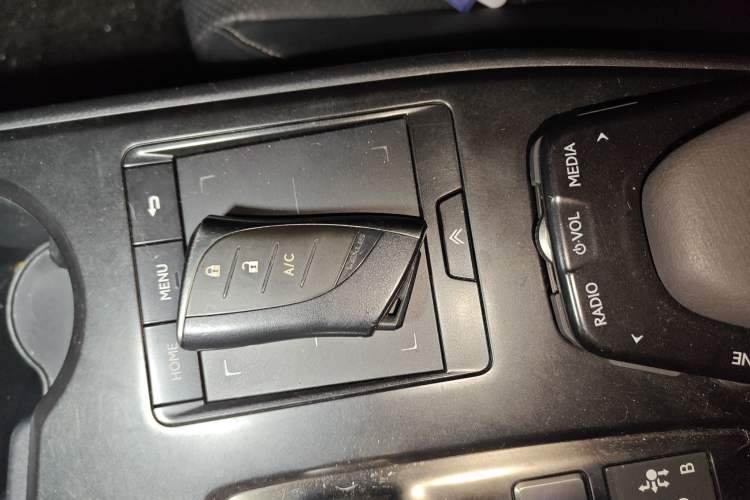 Used Lexus UX New Energy 2020 300e Pure·Joy Edition
