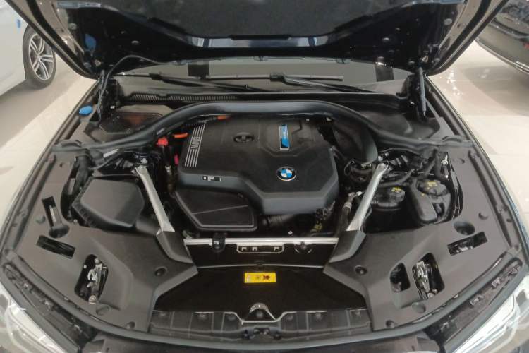 Used BMW 5 Series New Energy 2021 535Le Luxury Package
