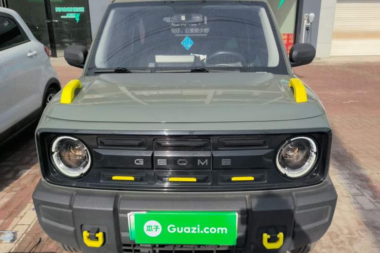 Used  Panda 2024 200km Panda Rider