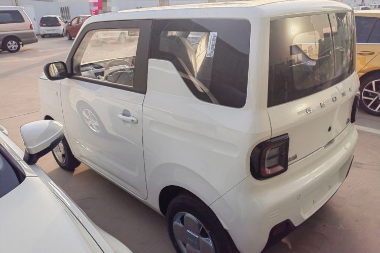 Used  Panda 2024 Panda Mini 200km Endurance Bear