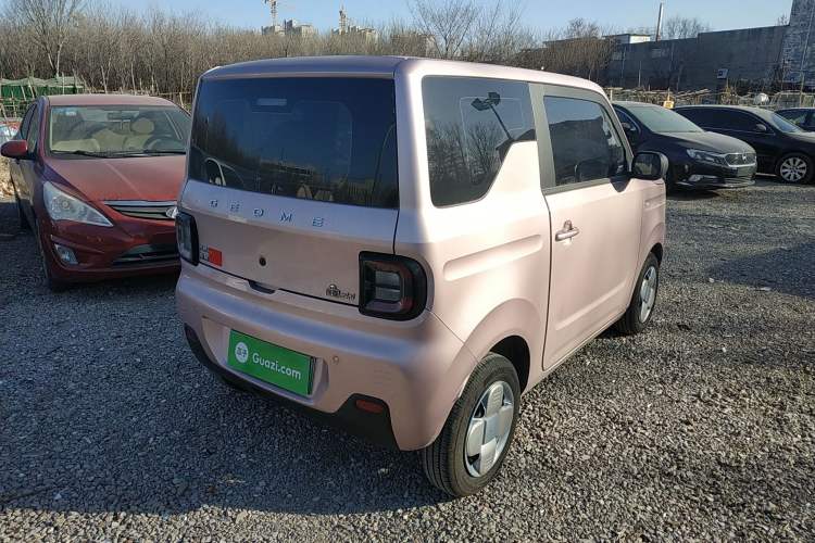 Used  Panda 2024 Panda Mini 200km Endurance Bear