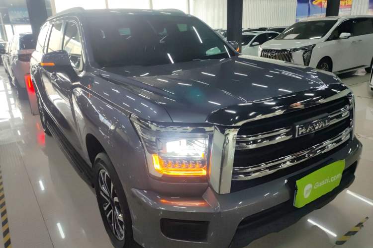 Used Haval H5 2023 2.0T Automatic Two-Wheel Drive LinkedIn Gasoline
