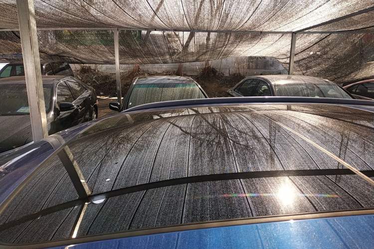 Used Audi Q3 2019 35 TFSI Fashion Dynamic Model
