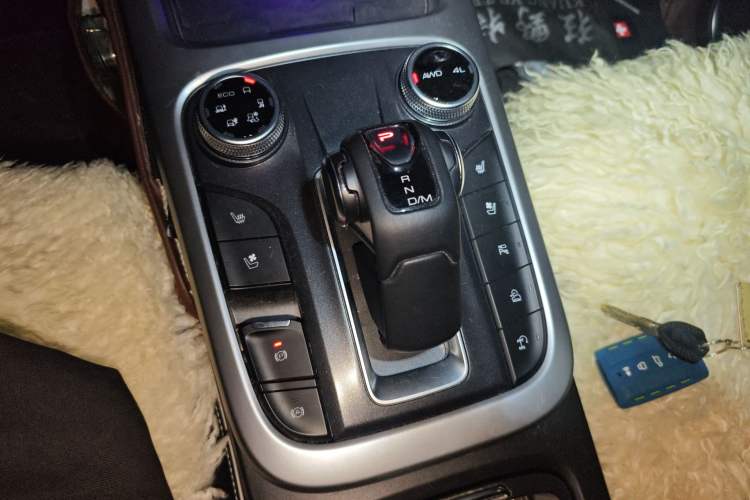 Used Tank 300 2021 City Edition 2.0T—Truly Stylish