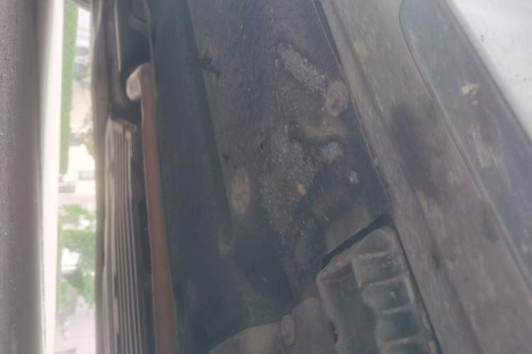 Used BMW 5 Series 2019 Facelifted 530Li Luxury Edition Premium Package
