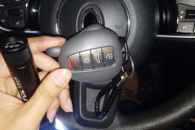 Used ORA White Cat 2020 305 km Luxury Version
