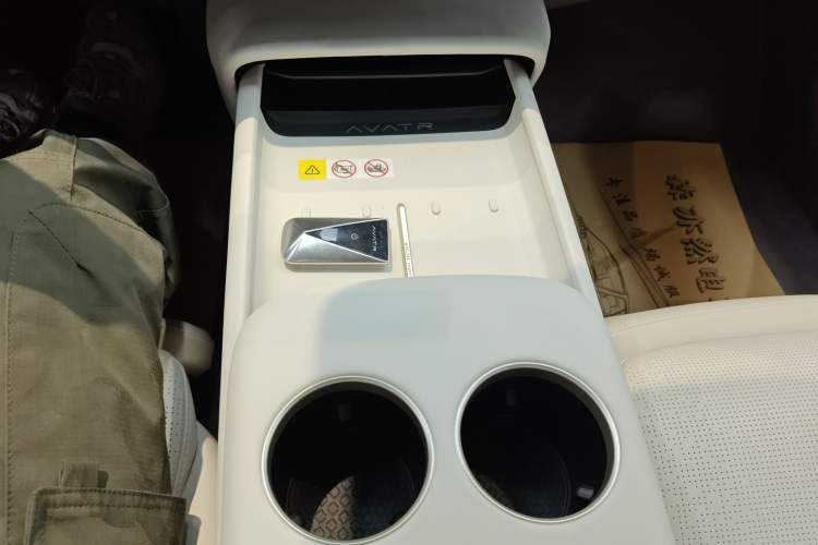 Used  06 2025 Max Extended-Range Edition
