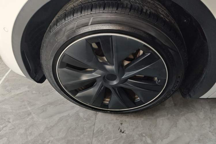 Used Tesla Model Y 2021 Long-Range All-Wheel-Drive Version 3D7
