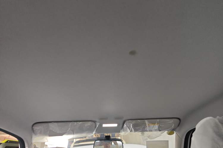 Used  Panda 2025 210 km – Yuanqi Bear
