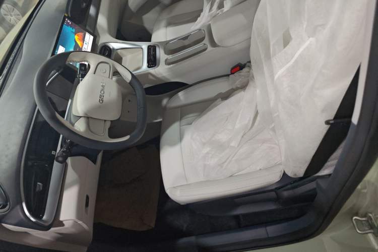 Used  Geome 2025 310km Youth Edition