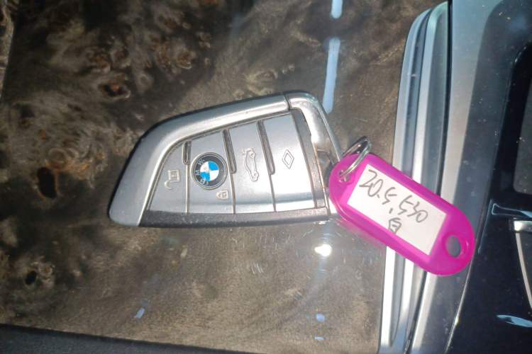 Used BMW 5 Series 2020 530Li Luxury Edition M Sport Package