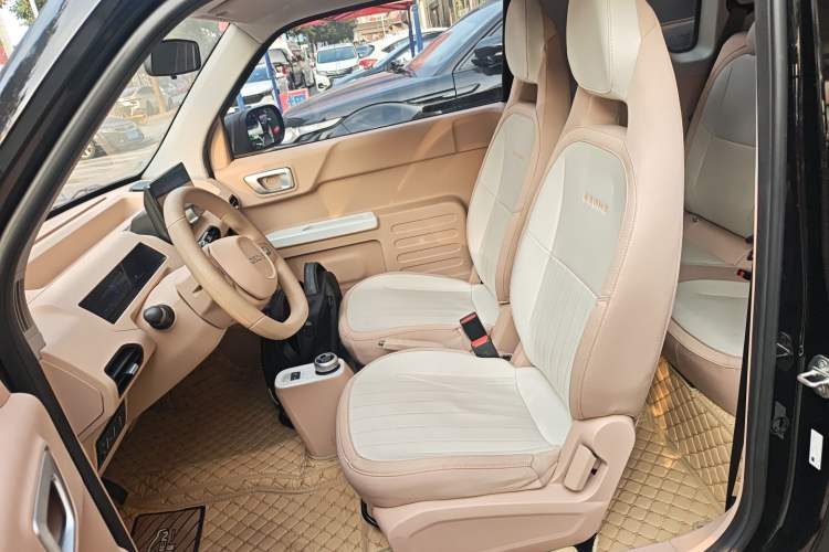 Used  Panda 2024 200km Panda Kart
