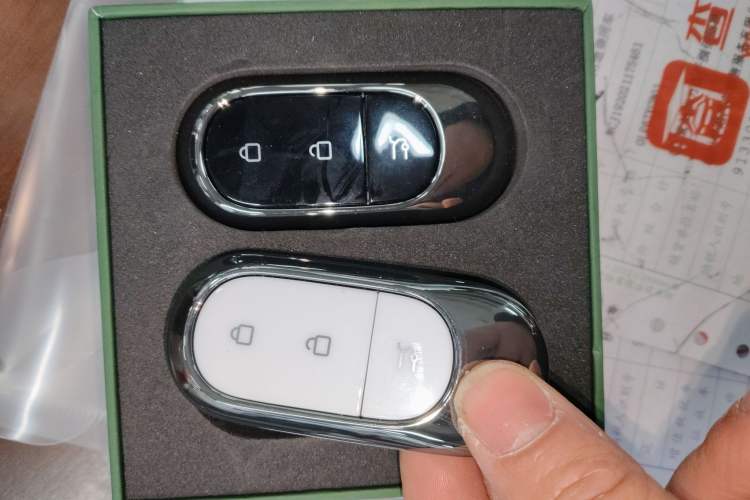 Used Leapmotor C11 2023 Pure Electric 500 Smart Edition
