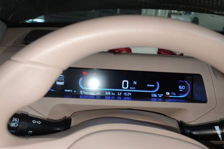 Used  Panda 2024 200km Panda Kart
